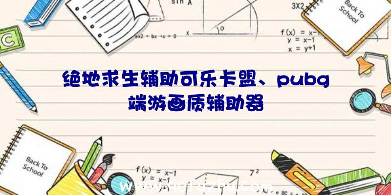 绝地求生辅助可乐卡盟、pubg端游画质辅助器