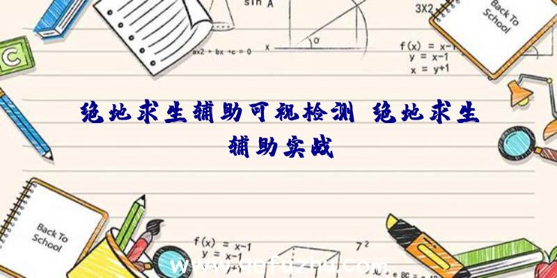 绝地求生辅助可视检测、绝地求生辅助实战