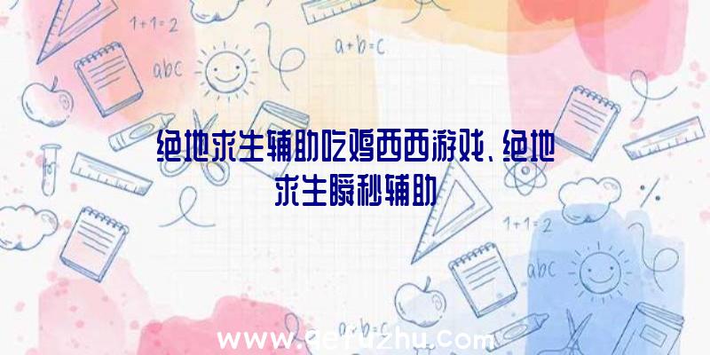 绝地求生辅助吃鸡西西游戏、绝地求生瞬秒辅助