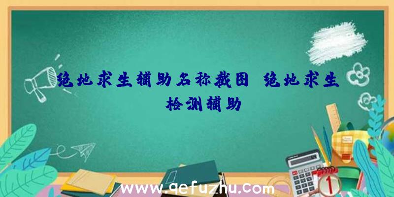 绝地求生辅助名称截图、绝地求生