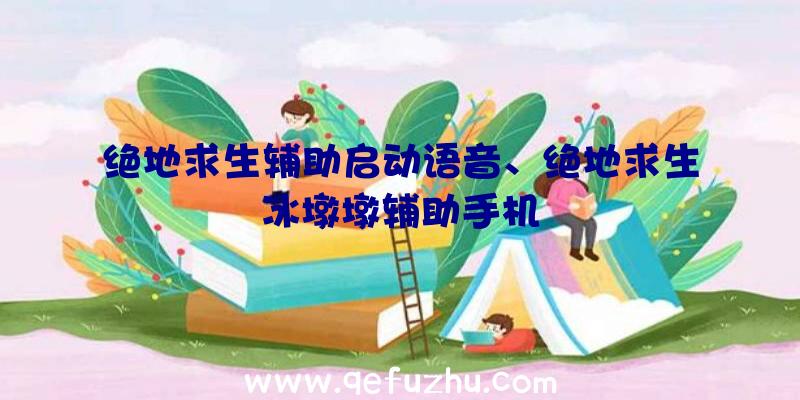 绝地求生辅助启动语音、绝地求生冰墩墩辅助手机