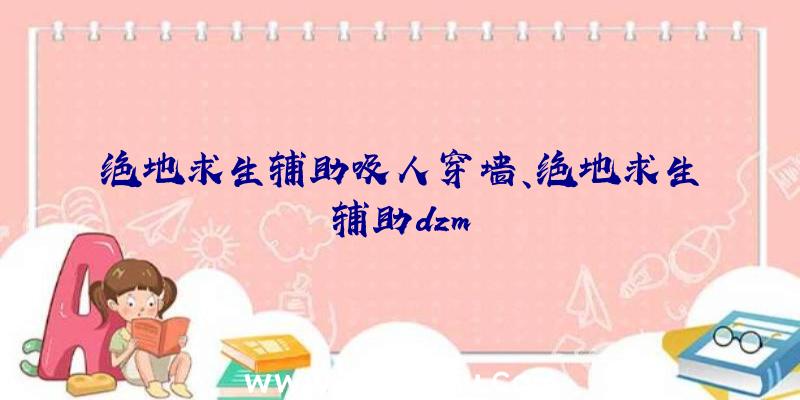 绝地求生辅助吸人穿墙、绝地求生辅助dzm