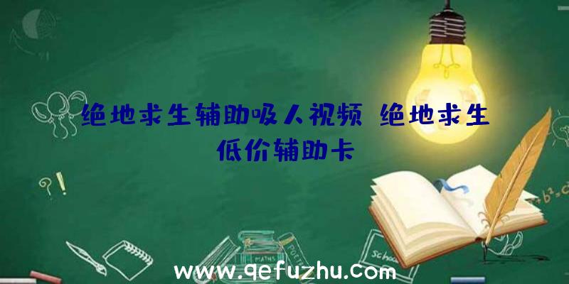 绝地求生辅助吸人视频、绝地求生低价辅助卡