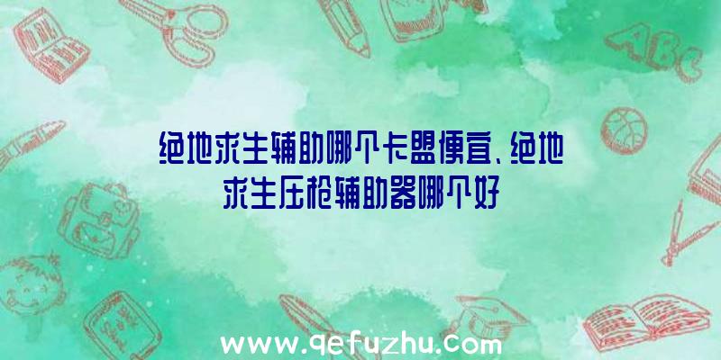 绝地求生辅助哪个卡盟便宜、绝地求生压枪辅助器哪个好