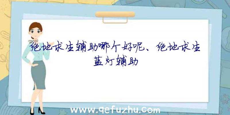 绝地求生辅助哪个好呢、绝地求生蓝灯辅助