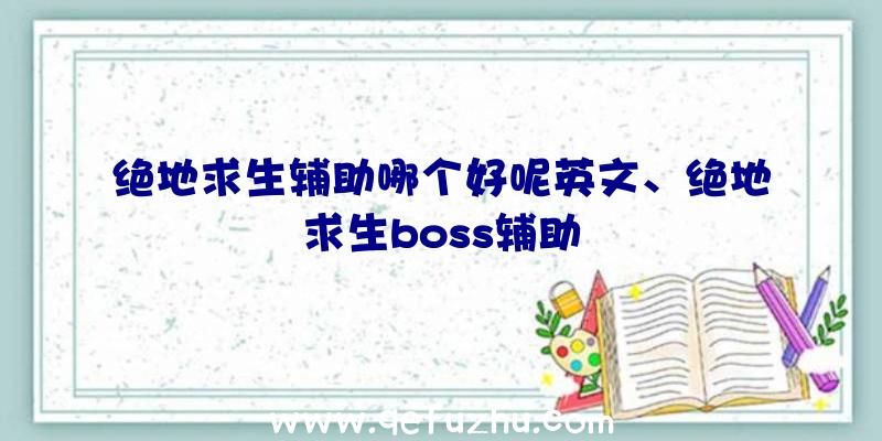 绝地求生辅助哪个好呢英文、绝地求生boss辅助