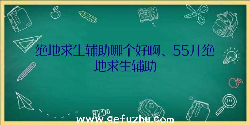 绝地求生辅助哪个好啊、55开绝地求生辅助