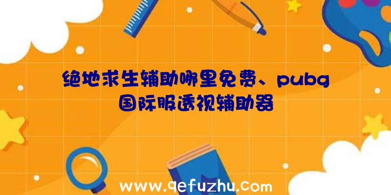 绝地求生辅助哪里免费、pubg国际服透视辅助器