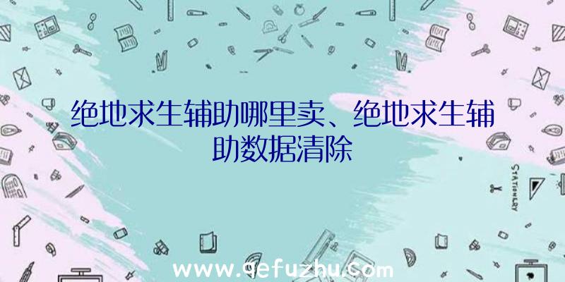 绝地求生辅助哪里卖、绝地求生辅助数据清除