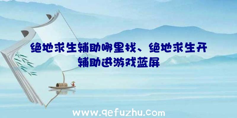 绝地求生辅助哪里找、绝地求生开辅助进游戏蓝屏