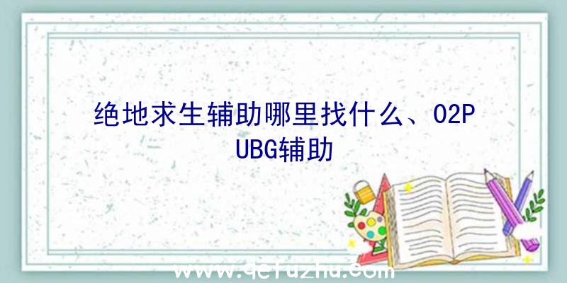 绝地求生辅助哪里找什么、02PUBG辅助