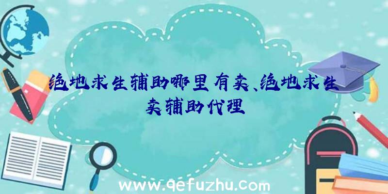 绝地求生辅助哪里有卖、绝地求生卖辅助代理