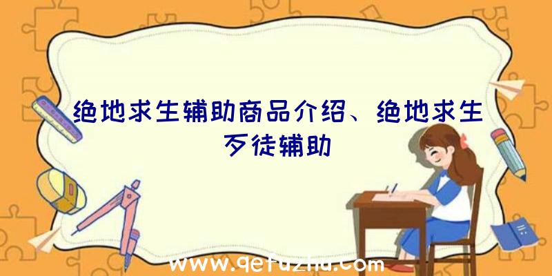 绝地求生辅助商品介绍、绝地求生歹徒辅助