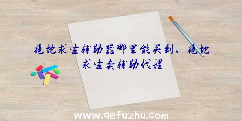 绝地求生辅助器哪里能买到、绝地求生卖辅助代理