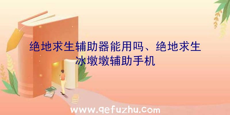 绝地求生辅助器能用吗、绝地求生冰墩墩辅助手机