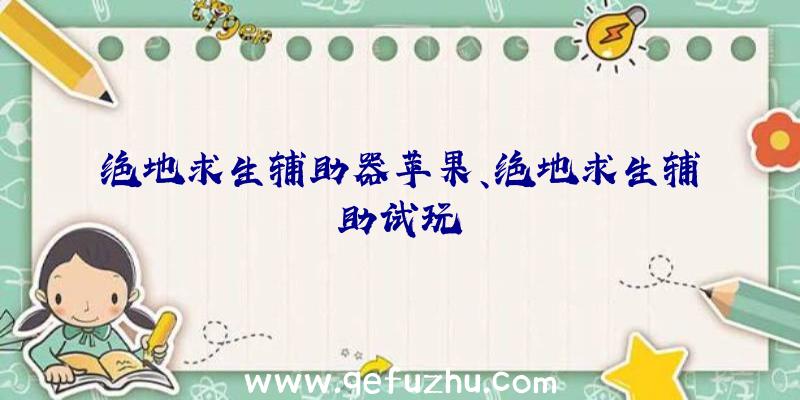 绝地求生辅助器苹果、绝地求生辅助试玩