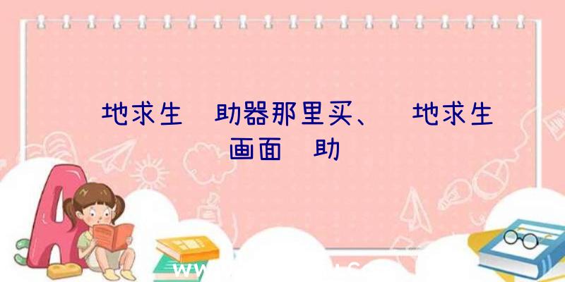 绝地求生辅助器那里买、绝地求生画面辅助