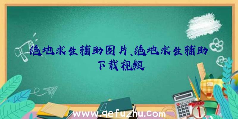绝地求生辅助图片、绝地求生辅助下载视频