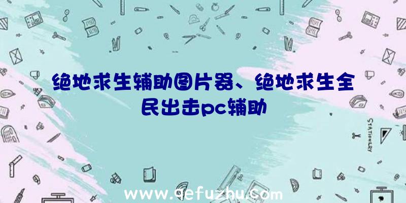 绝地求生辅助图片器、绝地求生全民出击pc辅助