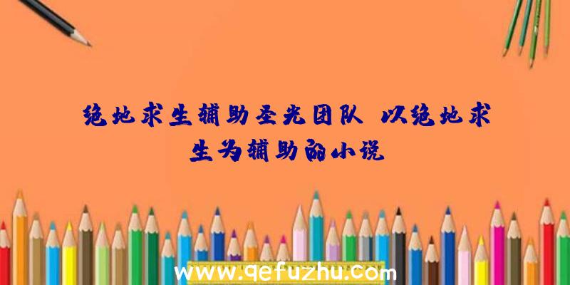 绝地求生辅助圣光团队、以绝地求生为辅助的小说