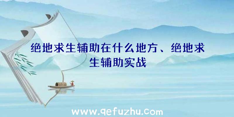 绝地求生辅助在什么地方、绝地求生辅助实战