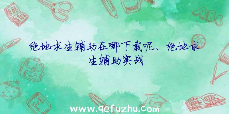 绝地求生辅助在哪下载呢、绝地求生辅助实战