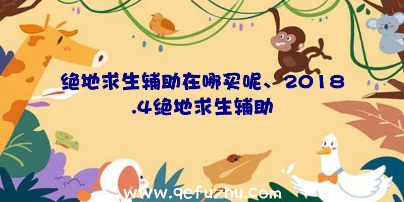 绝地求生辅助在哪买呢、2018.4绝地求生辅助