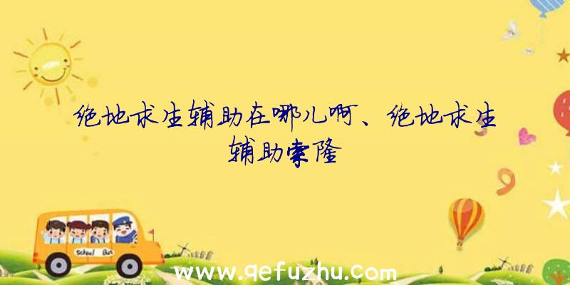 绝地求生辅助在哪儿啊、绝地求生辅助索隆