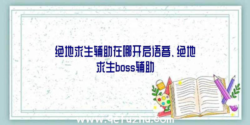 绝地求生辅助在哪开启语音、绝地求生boss辅助