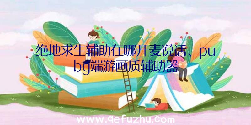 绝地求生辅助在哪开麦说话、pubg端游画质辅助器