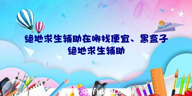 绝地求生辅助在哪找便宜、黑盒子绝地求生辅助