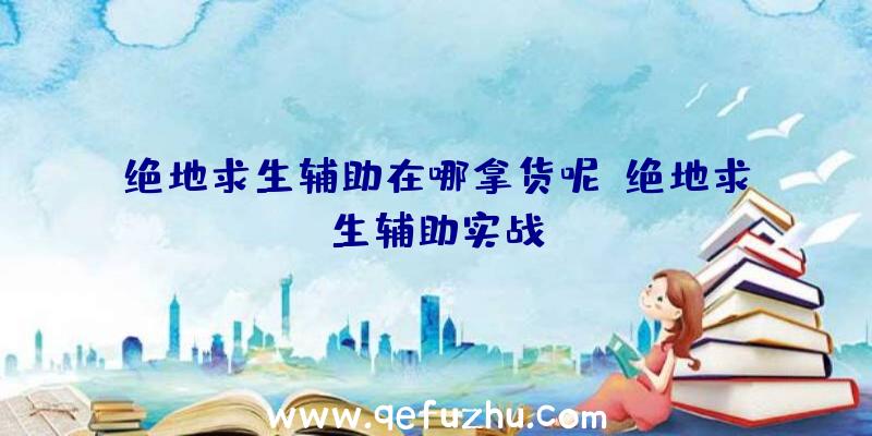 绝地求生辅助在哪拿货呢、绝地求生辅助实战