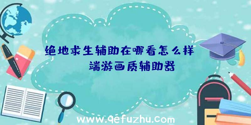 绝地求生辅助在哪看怎么样、pubg端游画质辅助器