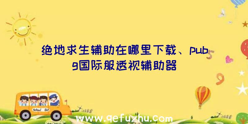 绝地求生辅助在哪里下载、pubg国际服透视辅助器