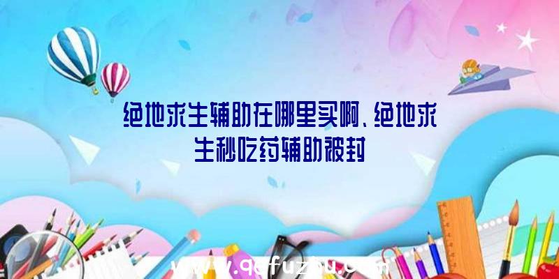 绝地求生辅助在哪里买啊、绝地求生秒吃药辅助被封