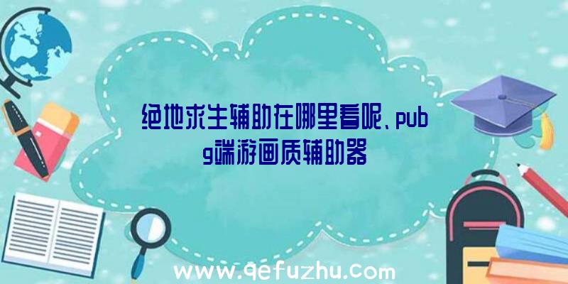 绝地求生辅助在哪里看呢、pubg端游画质辅助器