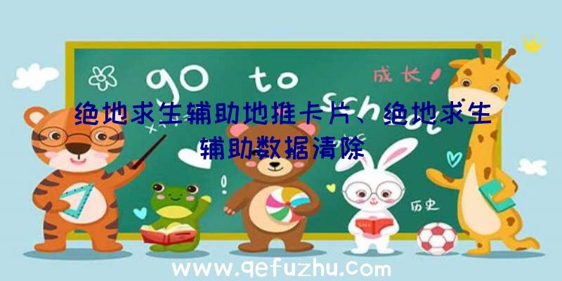 绝地求生辅助地推卡片、绝地求生辅助数据清除