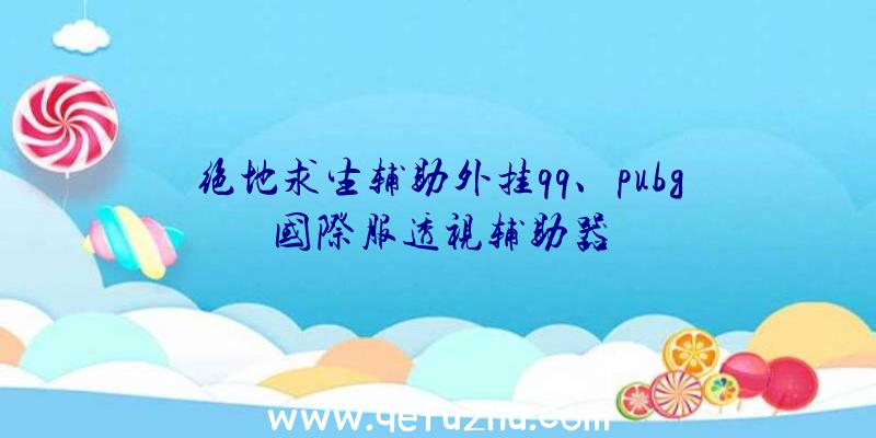 绝地求生辅助外挂qq、pubg国际服透视辅助器