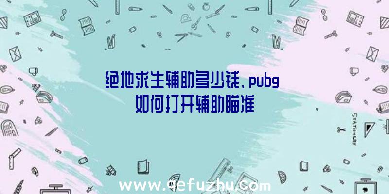 绝地求生辅助多少钱、pubg