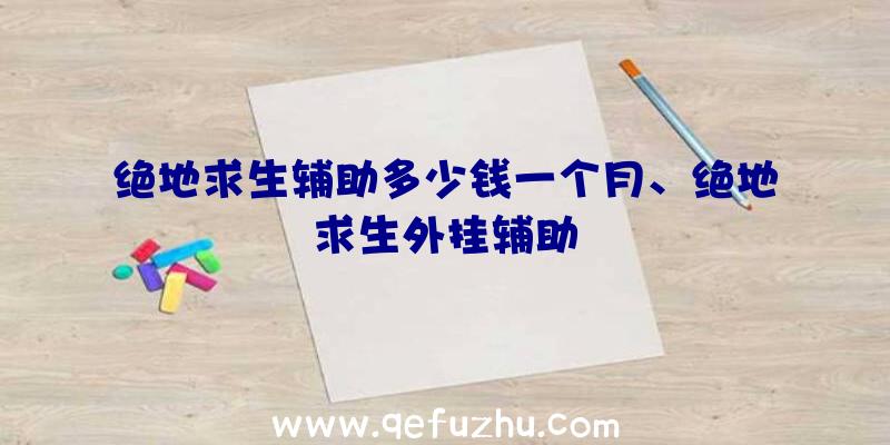 绝地求生辅助多少钱一个月、绝地求生外挂辅助