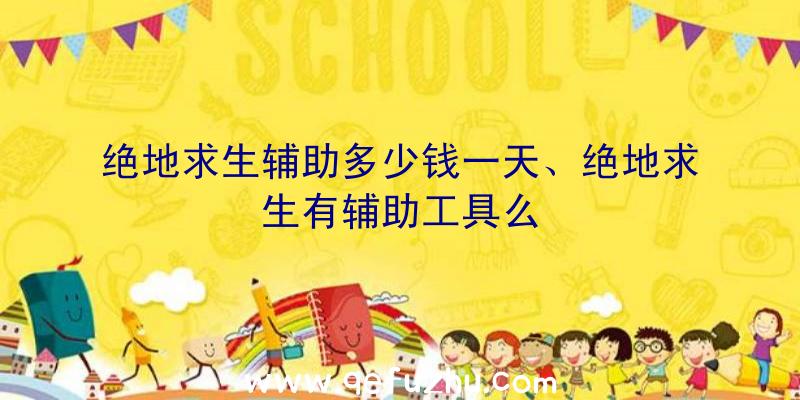 绝地求生辅助多少钱一天、绝地求生有辅助工具么