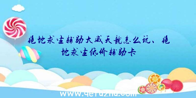 绝地求生辅助大威天龙怎么玩、绝地求生低价辅助卡