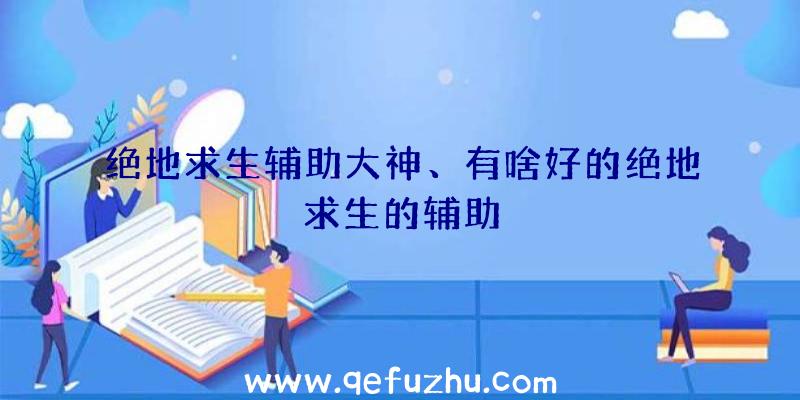 绝地求生辅助大神、有啥好的绝地求生的辅助