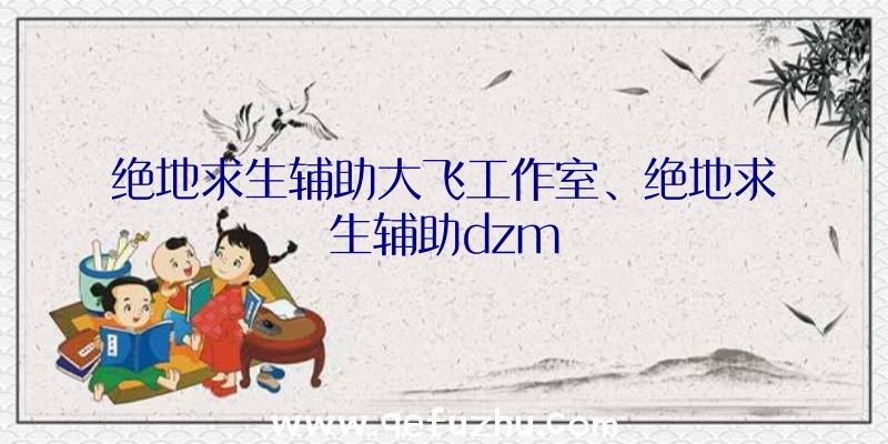 绝地求生辅助大飞工作室、绝地求生辅助dzm