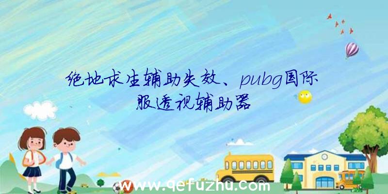 绝地求生辅助失效、pubg国际服透视辅助器