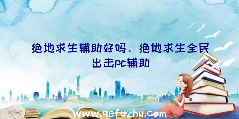 绝地求生辅助好吗、绝地求生全民出击pc辅助