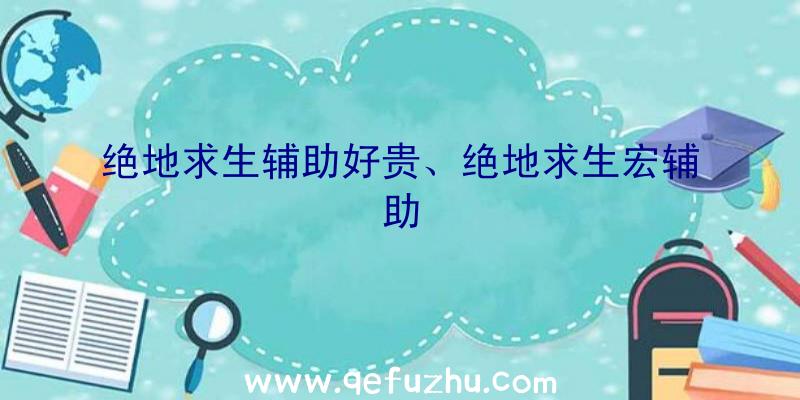 绝地求生辅助好贵、绝地求生宏辅助