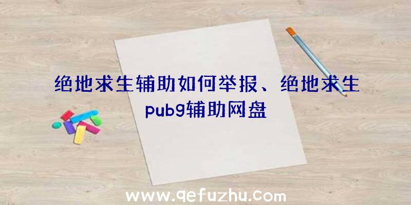 绝地求生辅助如何举报、绝地求生pubg辅助网盘