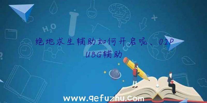 绝地求生辅助如何开启呢、02PUBG辅助