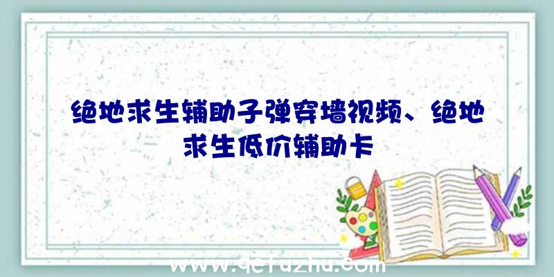 绝地求生辅助子弹穿墙视频、绝地求生低价辅助卡